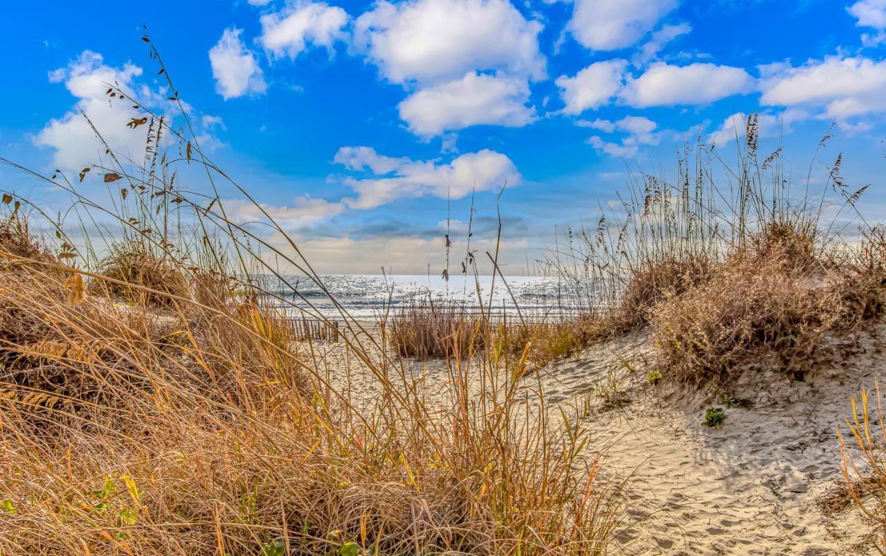 4Th Floor Oceanfront 1 Bedroom Suite! Beach Cove Resort 411 Myrtle Beach Exteriör bild