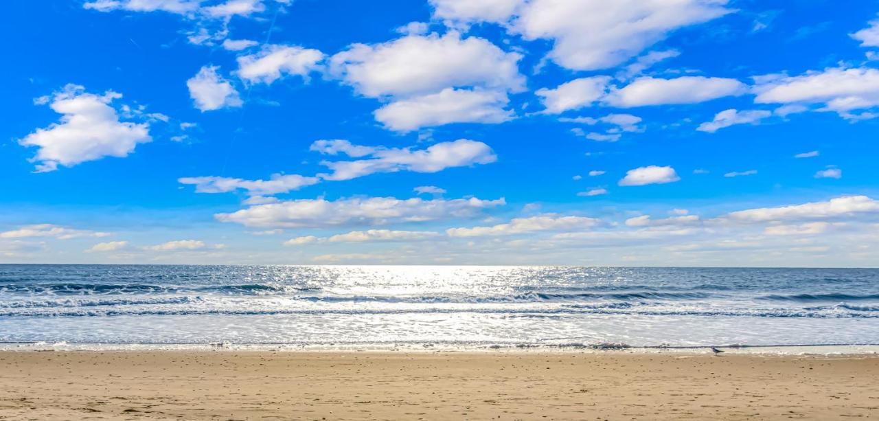 4Th Floor Oceanfront 1 Bedroom Suite! Beach Cove Resort 411 Myrtle Beach Exteriör bild